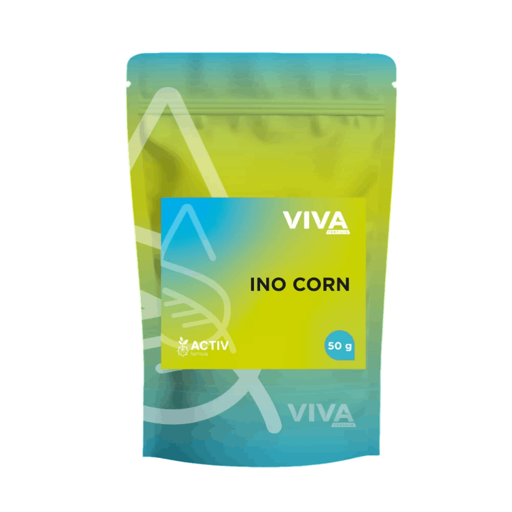 Kolorowe opakowanie stojące z napisem VIVA i INO CORN, waga 50 g, zielono-niebieski design